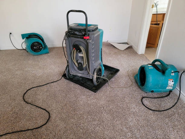 Best Ceiling water damage repair  in Idalou, TX