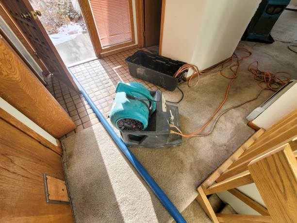Best Commercial water damage restoration  in Idalou, TX