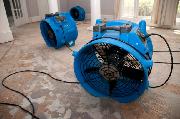 Best Water damage restoration experts  in Idalou, TX