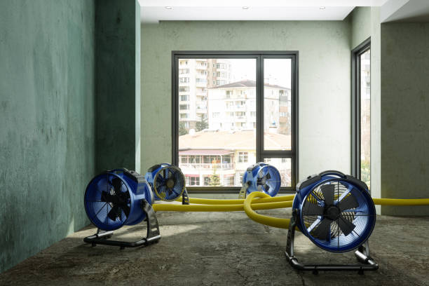 Best Water damage cleanup near me  in Idalou, TX