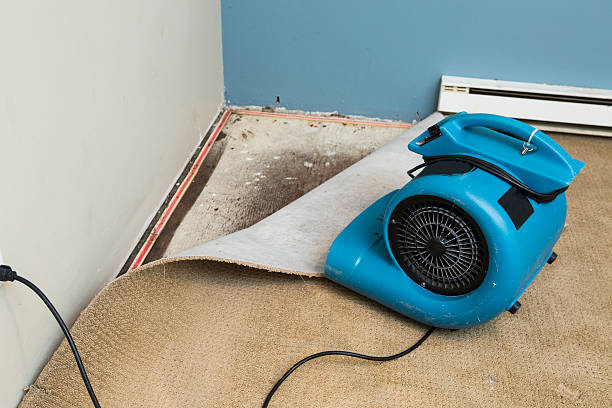 Best Water damage restoration near me  in Idalou, TX